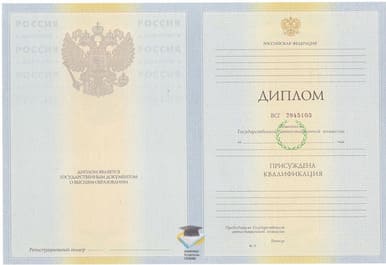 Диплом НГЛУ 2010-2011 годов