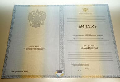 Диплом ДВИМБ 2012-2013 годов